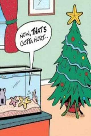 Holiday Mishaps in Ouch Galaxy! 🎄✨