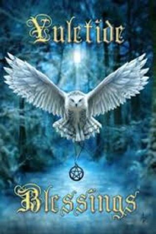 Enchanted Yule Blessings 🌌🦉