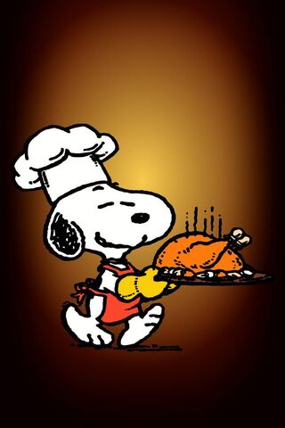 Happy Thanksgiving