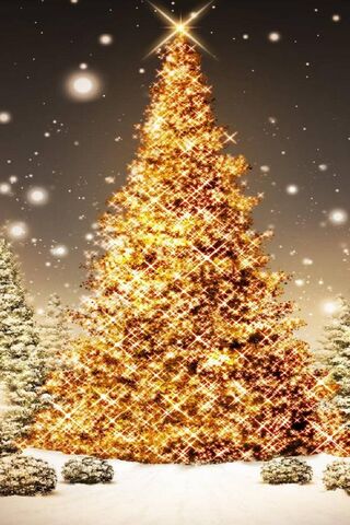 Sparkling Holiday Magic..