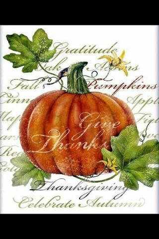 Harvest of Gratitude 🍂🎃