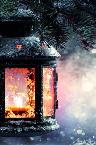 Glow of Winter: A Lante..