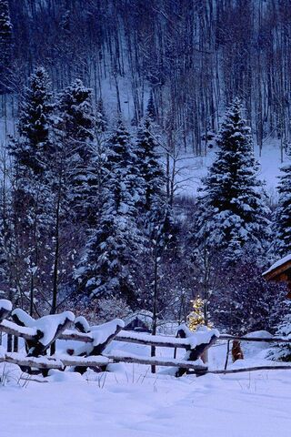 Winter Wonderland Glow ..