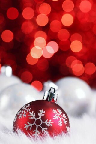 Festive Cheer: A Glimps..