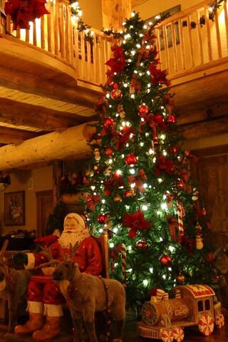 Magical Christmas Wonde..