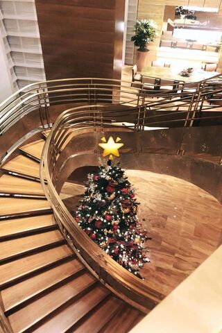 Holiday Elegance: A Stairway to Christmas Cheer 🎄✨