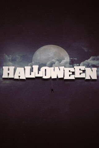 Spooky Night Vibes 🎃🌕