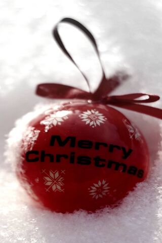 Festive Cheer in the Sn..