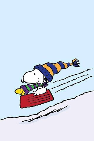 Snoopy's Winter Adventu..