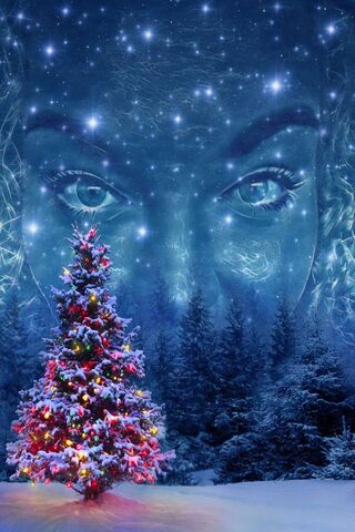 Whispers of the Frost