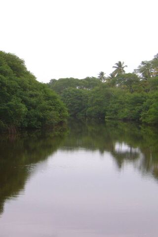 Mysteries of the Dark River 🌌🌊