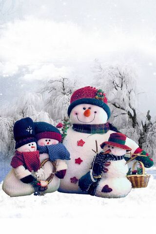 Winter Wonderland: The ..