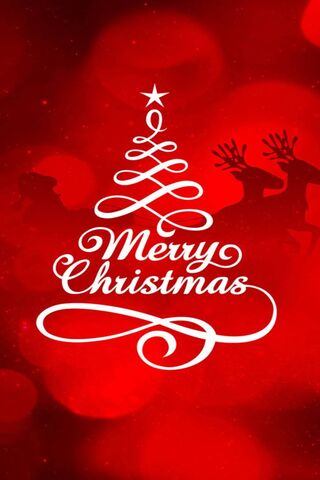 Festive Cheer: A Merry ..