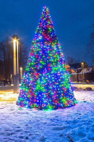 Sparkling Winter Wonder..