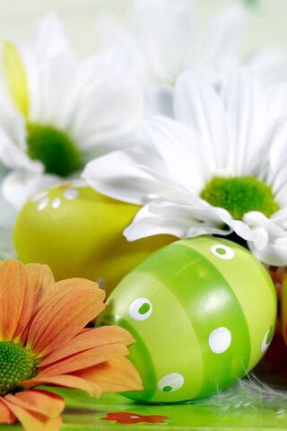 Springtime Splendor: A Celebration of Decorated Eggs 🌼🥚