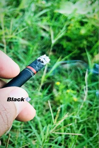 The Allure of the Black Sigaret: A Smoky Escape