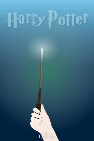 The Magic Begins: A Wizard's Journey ✨