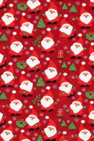 Santa Claws: A Festive Feline Twist! 🎅🐾