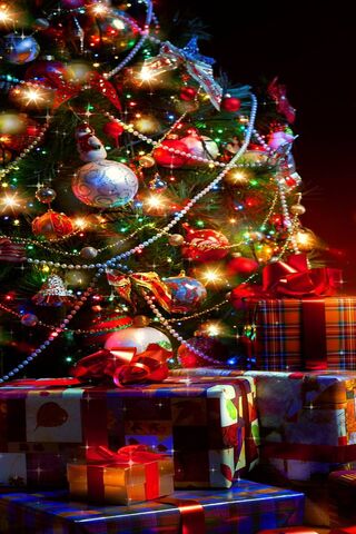 Gifts of Joy Beneath the Evergreen 🎄✨