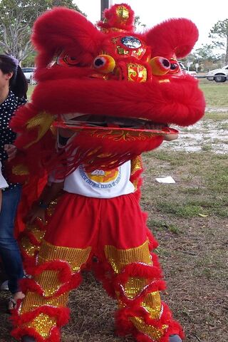 The Vibrant Spirit of the Vietnamese Dragon Dance 🐉✨