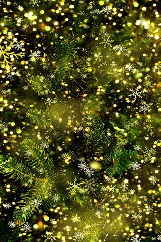 Whispers of Winter in t..