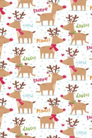 Rudolph's Festive Frien..