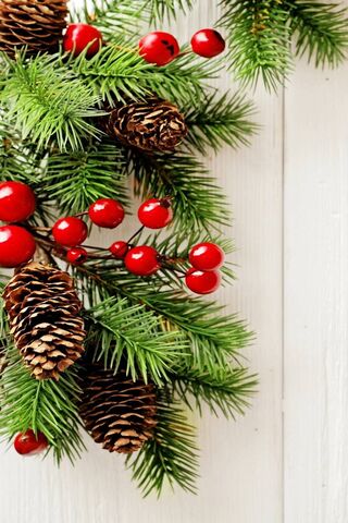 Festive Cheer: Nature's Touch 🎄✨