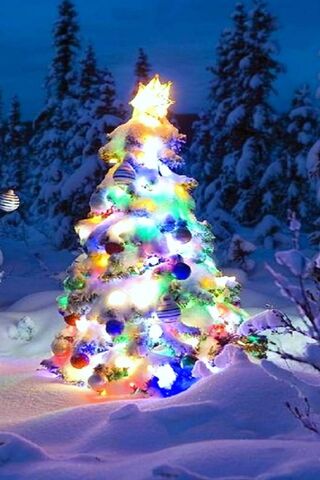 Magical Winter Wonderla..