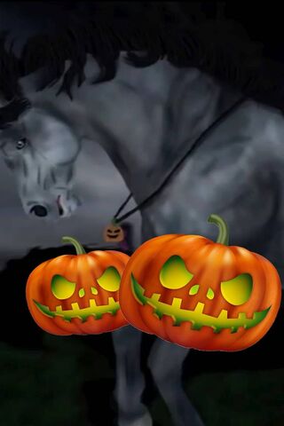 Spooky Equine Halloween Vibes 🎃🐴