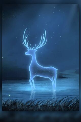 Glowing Spirit of the F..