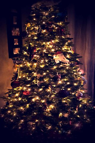 Magical Holiday Glow ✨🎄