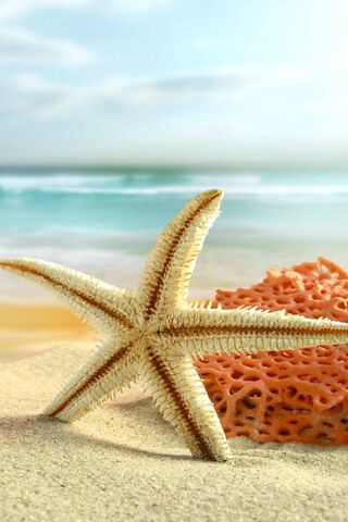 Starfish Serenity: A Coastal Gem 🌊⭐