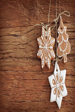 Festive Delights: Gingerbread Wonders 🎄✨