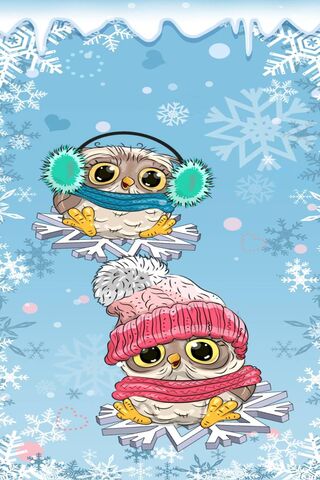 Xmas Owls