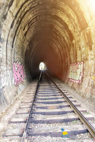Mystical Tunnel of Ella, Sri Lanka 🌄🚂