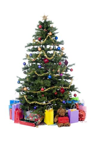 Festive Cheer: The Magic of Christmas 🎄✨