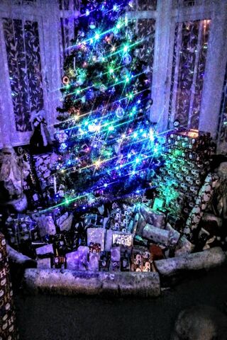 Magical Moments of Christmas Eve 🎄✨