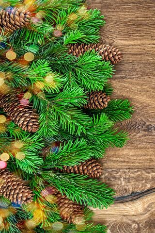 Christmas Decoration