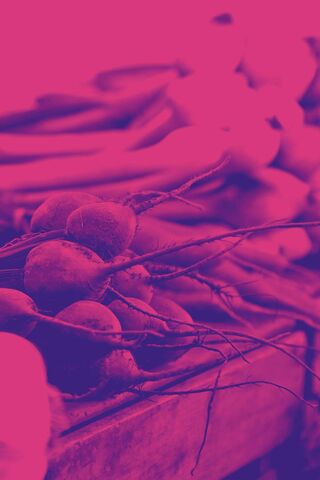 Vibrant Harvest at the Farmers Market 🌽🥕