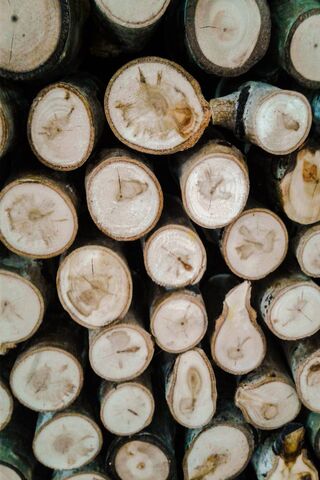 Wood