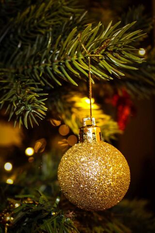 Sparkling Joy: A Golden Ornament on the Christmas Tree 🎄✨