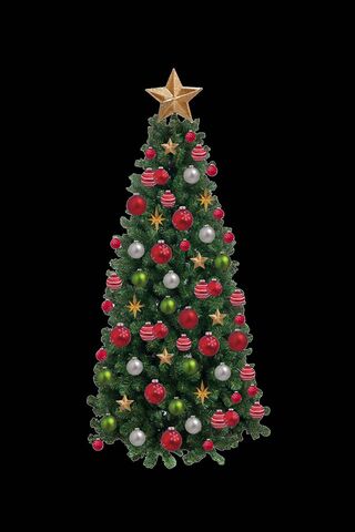 Festive Cheer: The Perf..