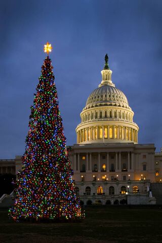 Capitol's Festive Glow:..