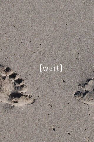 Pause on the Shore 🌊👣