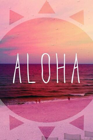 Hawaii bonito beaches palm trees aloha HD phone wallpaper  Peakpx