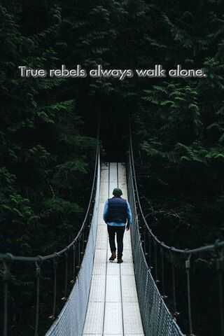 Embracing Solitude: The..
