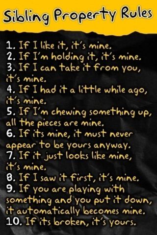 The Unwritten Laws of Sibling Love ❤️