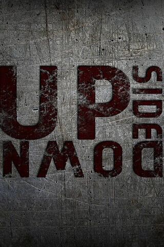 Inverted Perspectives: A Bold Statement