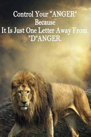Taming the Beast Within: A Lesson on Anger