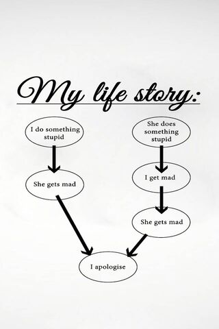 The Cycle of Apologies: A Life Story